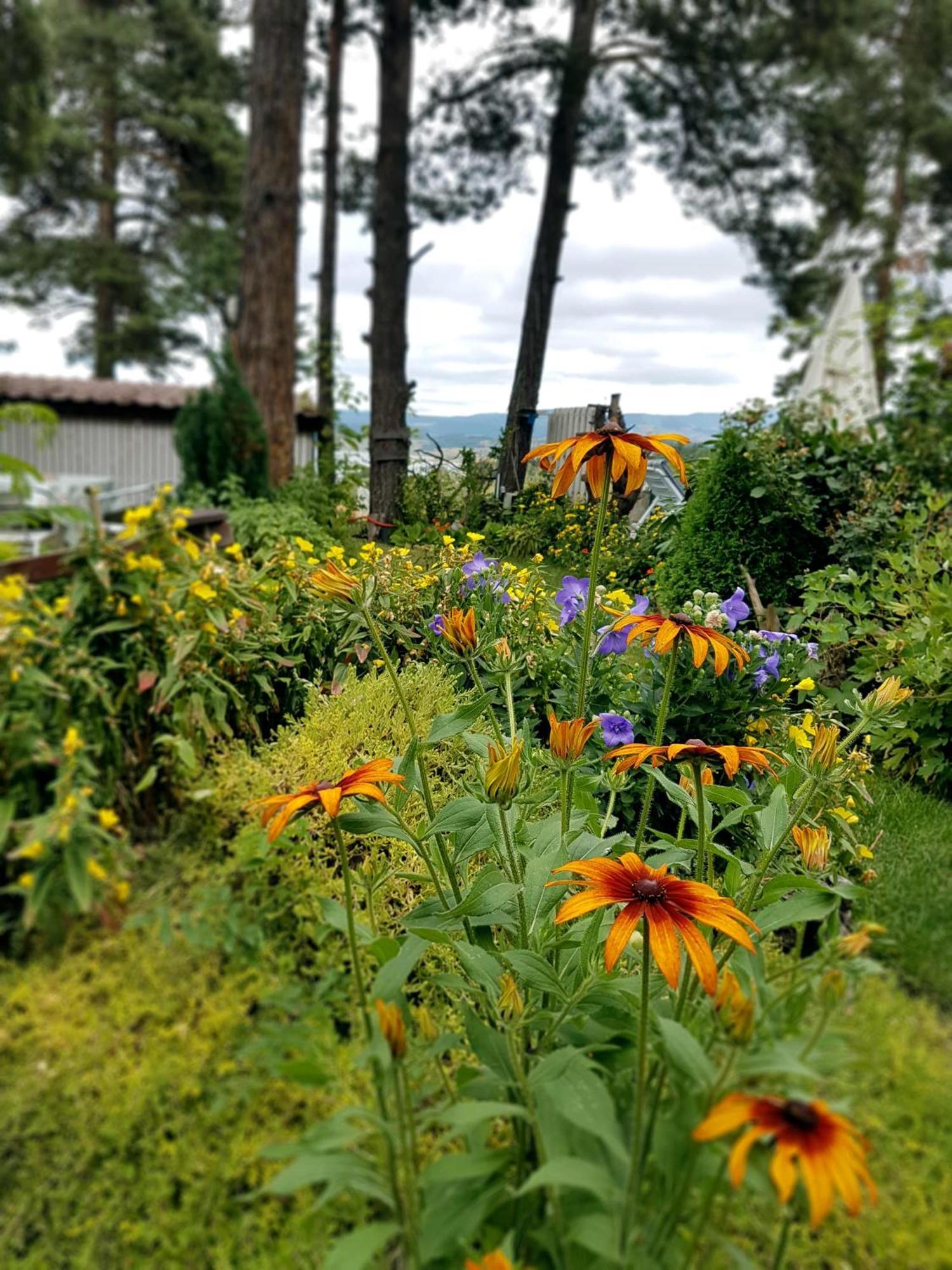 Vila Kalvachevi Tsigov Chark Buitenkant foto